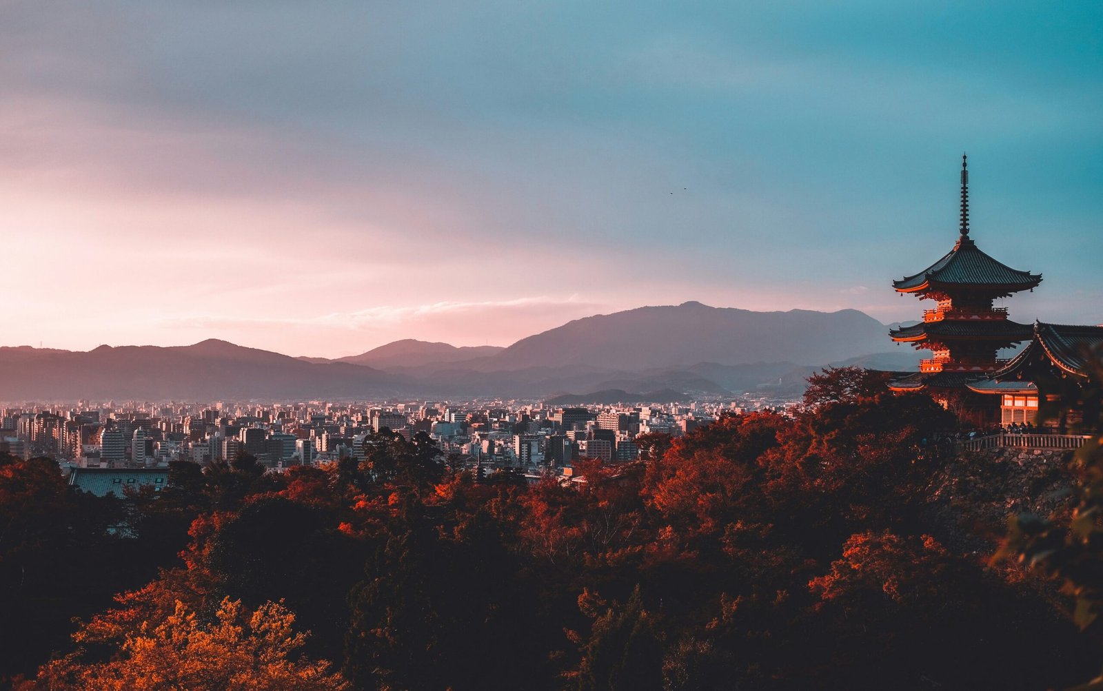 nada habashy zruwsjh loi unsplash